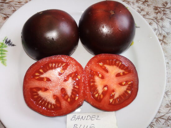 Синий Бандел